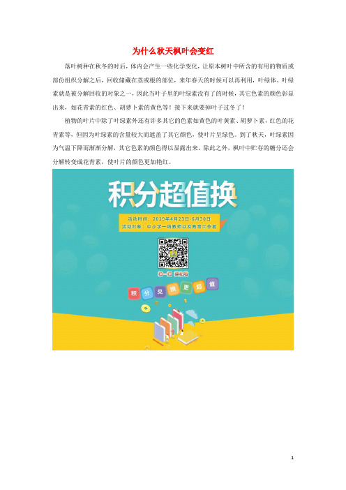 二年级语文上册第一单元4古诗两首拓展知识为什么秋天枫叶会变红素材鲁教版