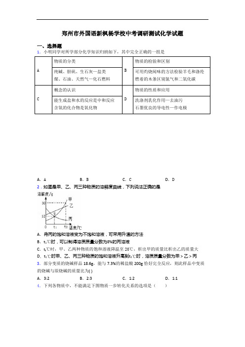 郑州市外国语新枫杨学校中考调研测试化学试题