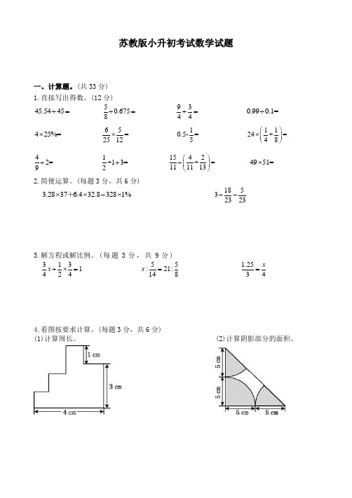 苏教版数学小升初检测卷含答案解析