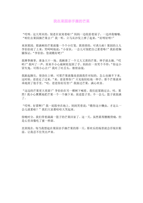 我在果园亲手摘的芒果