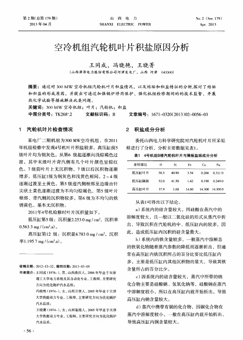 空冷机组汽轮机叶片积盐原因分析