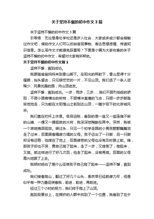 关于坚持不懈的初中作文3篇