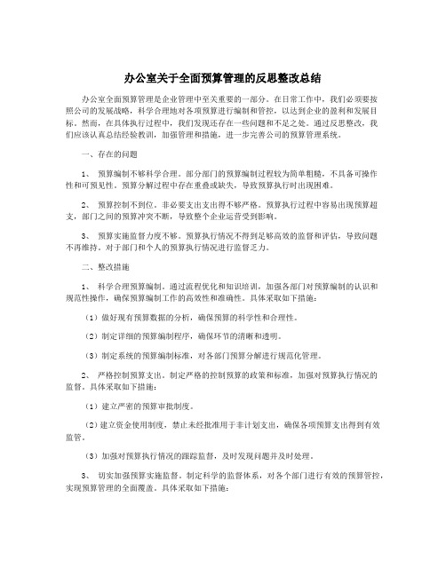 办公室关于全面预算管理的反思整改总结