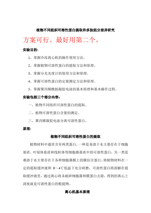 植物不同组织可溶性蛋白提取和多肽组分差异研究