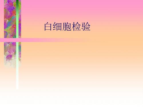 《白细胞检验》PPT课件