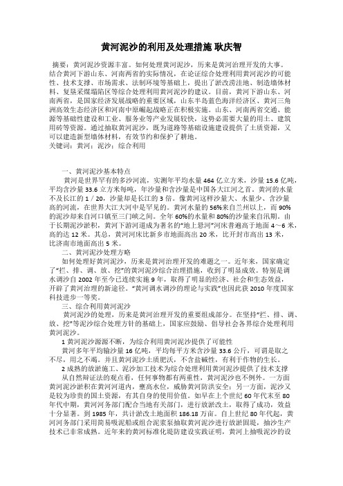 黄河泥沙的利用及处理措施 耿庆智