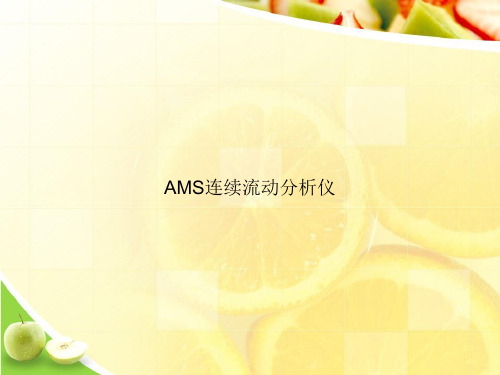 AMS连续流动分析仪ppt文档