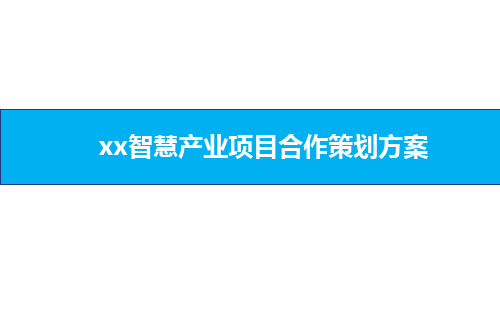 某产业项目合作策划方案