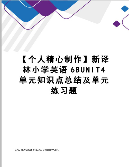 【个人精心制作】新译林小学英语6BUNIT4单元知识点总结及单元练习题