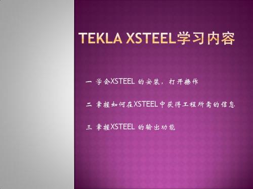 xsteel 如何安装 使用