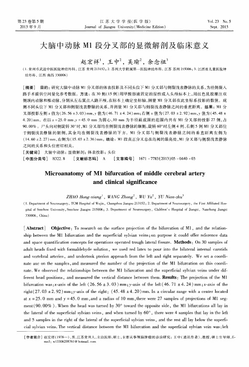 大脑中动脉M1段分叉部的显微解剖及临床意义