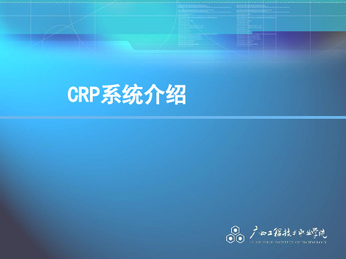 CRP系统演示