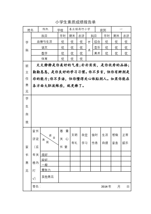 小学生素质成绩报告单