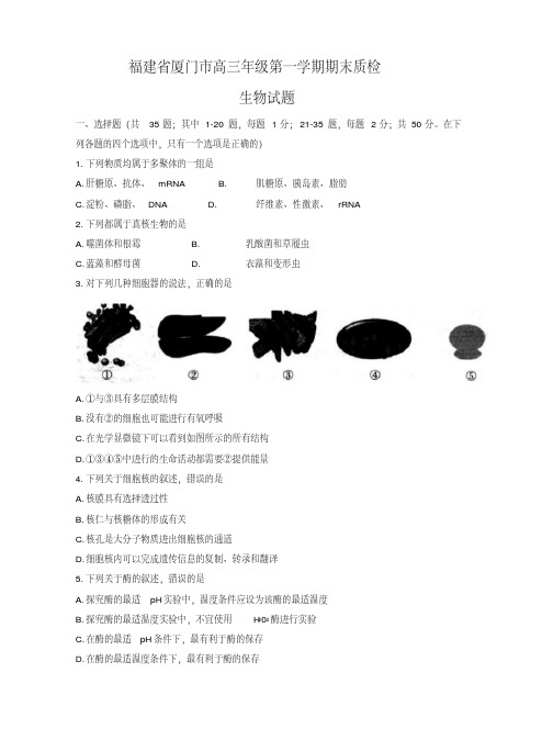 2019-2020年福建省厦门市高三上学期期末质检生物试题(有答案)【优质版】