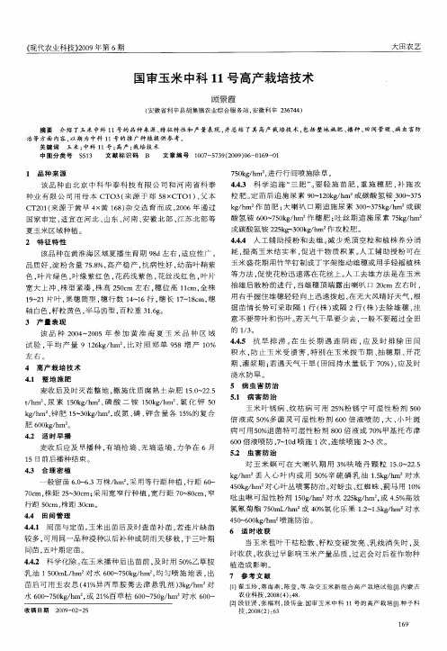 国审玉米中科11号高产栽培技术