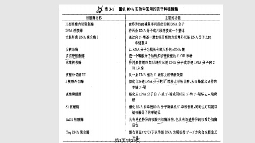 基因工程工具酶限制酶