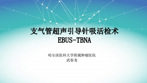 EBUS-TBNA技术基础