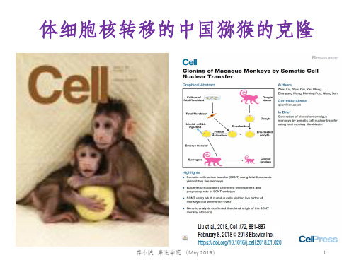 2018-克隆猴的分子生物学机制(May2019)