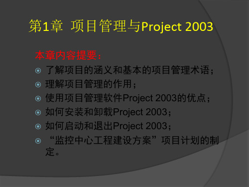 Project2003 经典教程