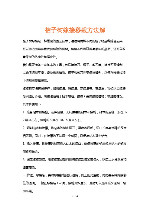 桔子树嫁接移栽方法解