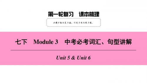 深圳英语七年级下册 Module3 Natural elements课本梳理