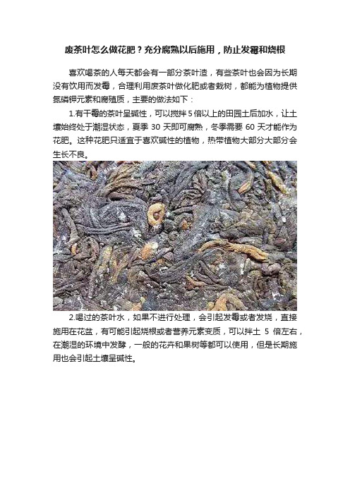 废茶叶怎么做花肥？充分腐熟以后施用，防止发霉和烧根