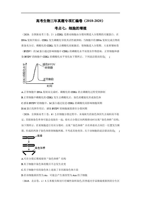 高考生物三年真题专项汇编卷(2018-2020)考点七：细胞的增殖