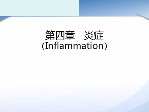 炎症(PPT)