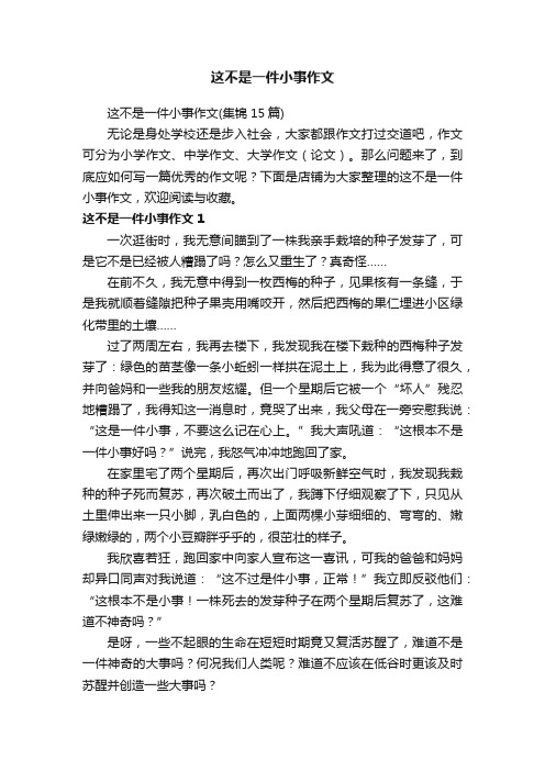 这不是一件小事作文