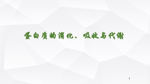 蛋白质的消化、吸收与代谢.pptx