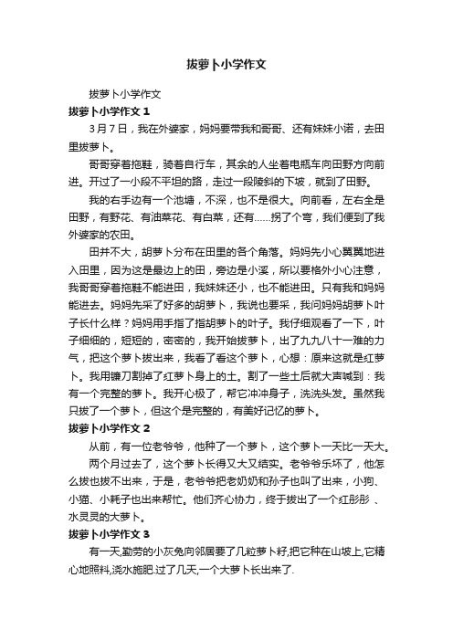 拔萝卜小学作文