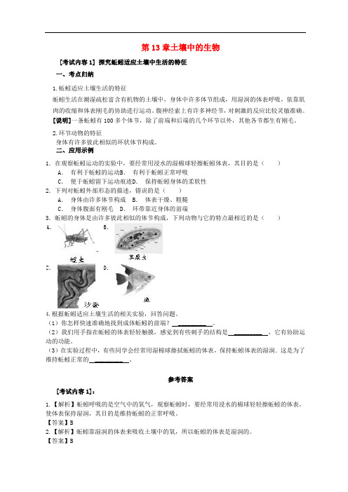 中考生物一轮复习 七下 第13章 土壤中的生物(含解析) 苏科版