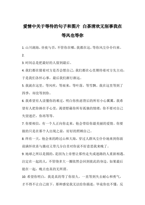 爱情中关于等待的句子和图片 白茶清欢无别事我在等风也等你