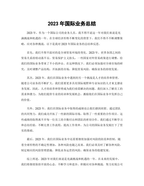 2023年国际业务总结