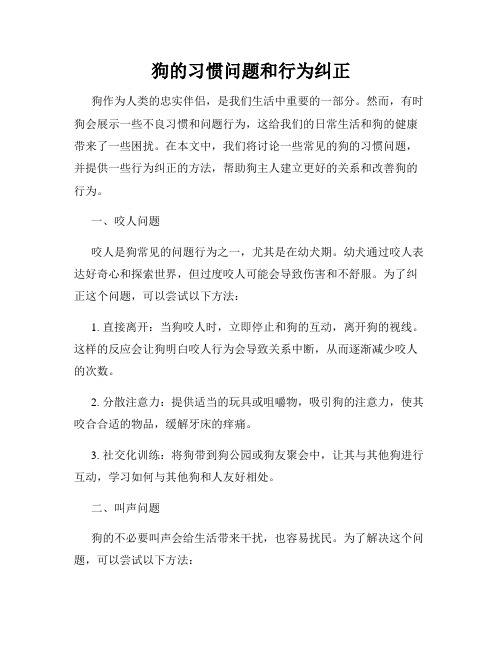 狗的习惯问题和行为纠正