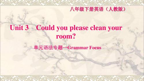 八年级英语下册Unit3Couldyoupleasecleanyourroom语法专题_grammarfocus习题课件新版人教新目标版