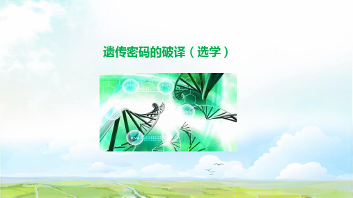 高中生物必修二精品课件10：4.3 遗传密码的破译(选学)