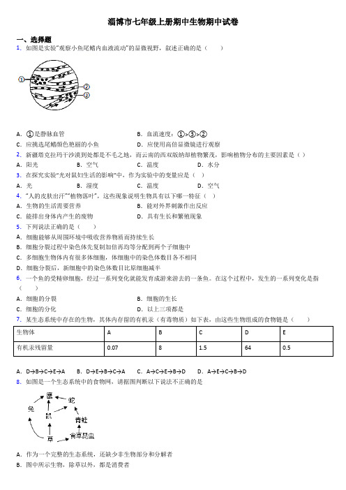 淄博市七年级上册期中生物期中试卷