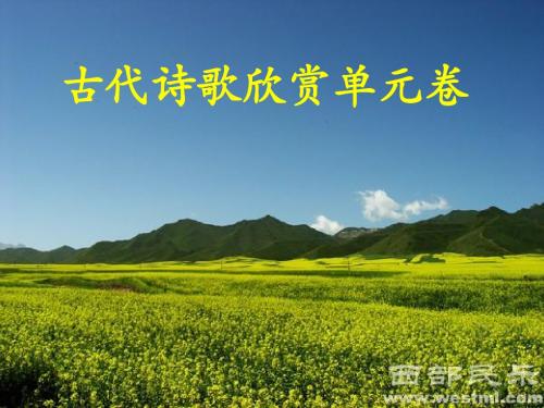 古代诗歌欣赏单元卷【刘希国】