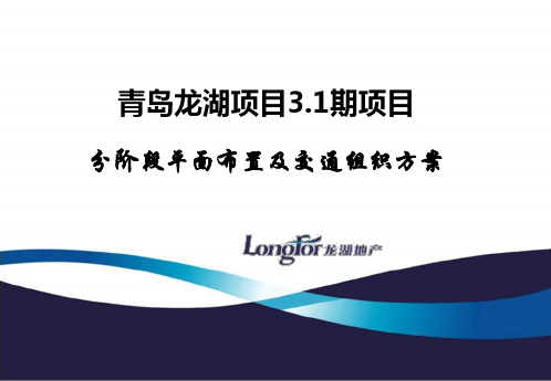 龙湖地产运营停检点-施工组织 分阶段交通组织方案