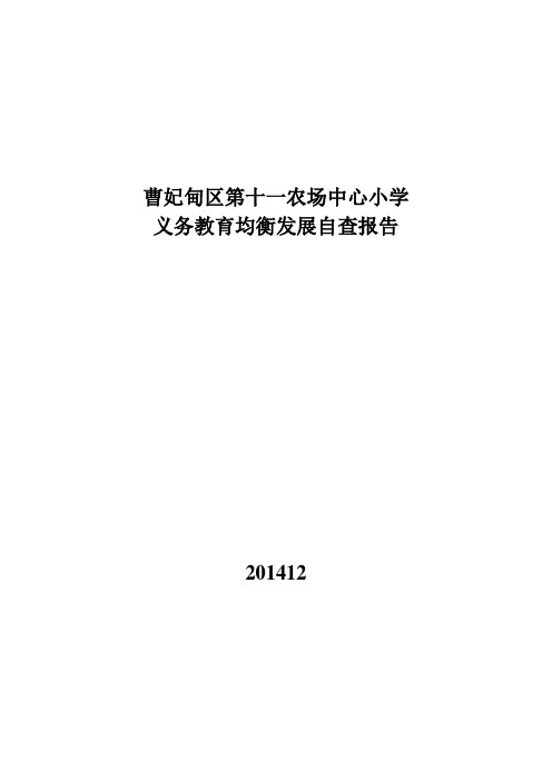 十一场小学义务教育均衡发展自查报告