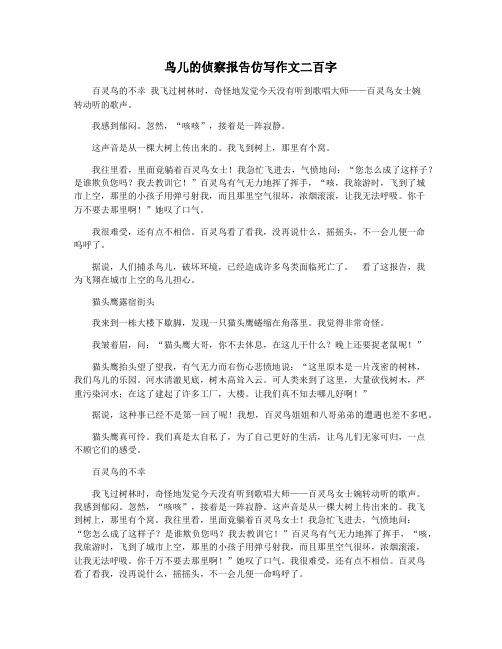 鸟儿的侦察报告仿写作文二百字