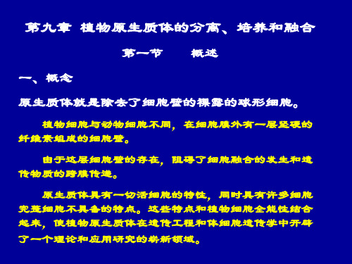 8原生质体的分离、培养和融合