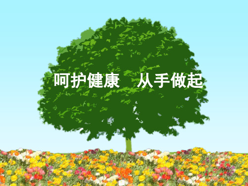 机关幼儿园中班健康《洗手》PPT课件