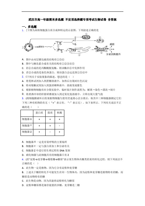 武汉市高一年级期末多选题 不定项选择题专项考试生物试卷 含答案