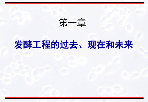 发酵工程 原理与技术 第一章 陈坚PPT课件