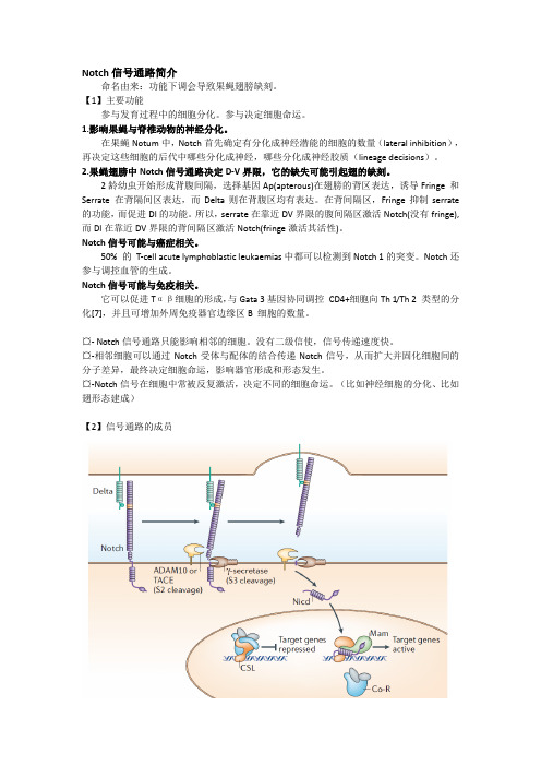 Notch信号通路