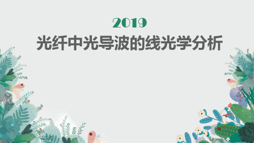 光纤中光导波的线光学分析