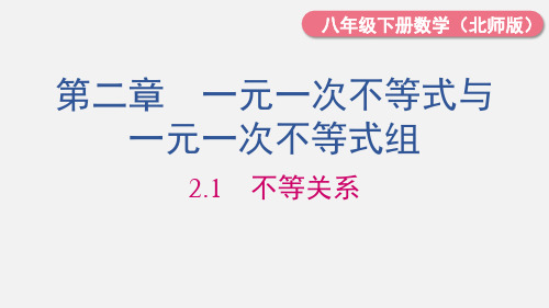 北师大版数学八年级下册不等关系课件(共14张)