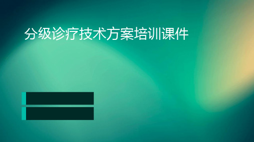 分级诊疗技术方案培训课件